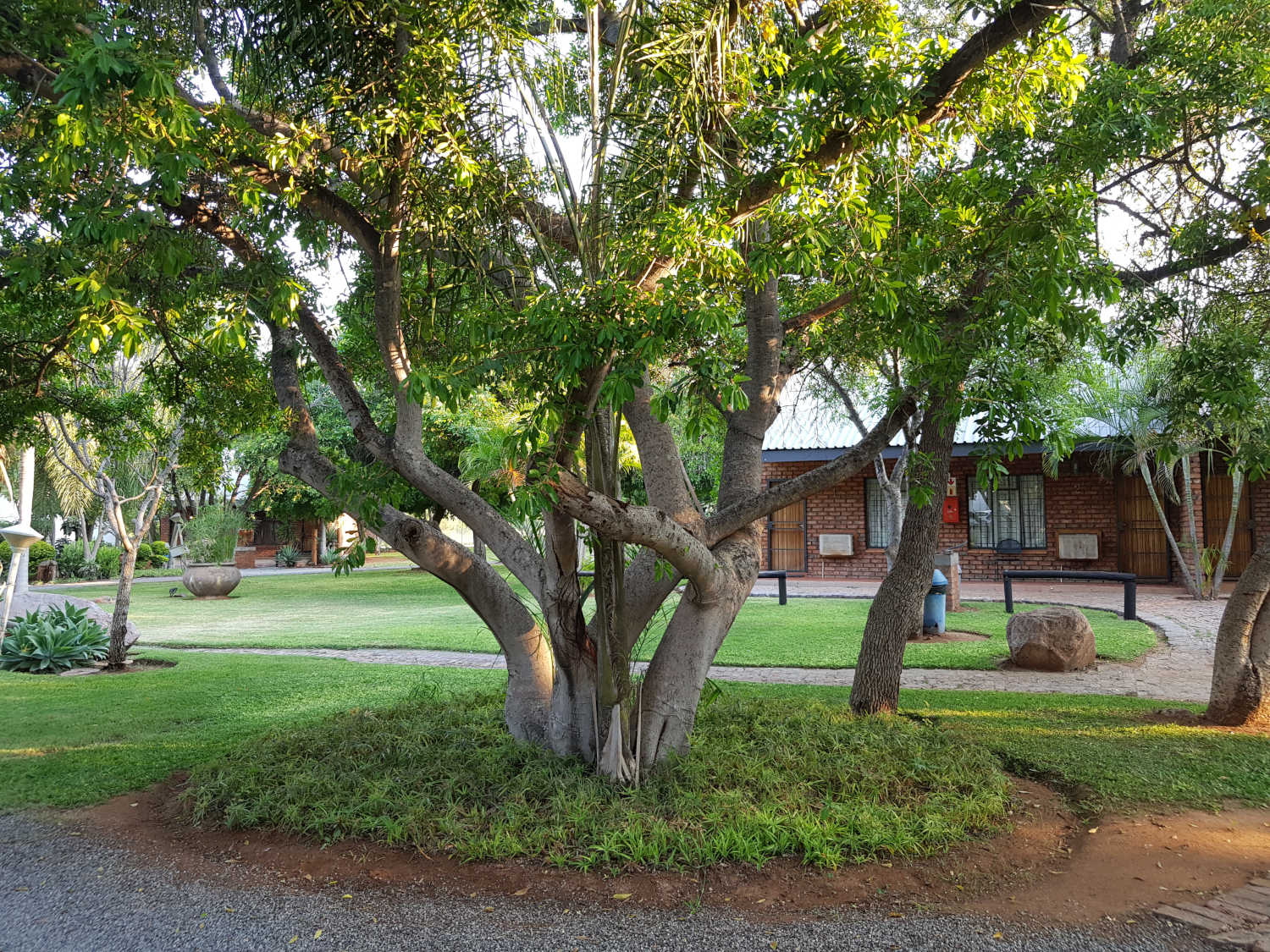 Baobab Chalets — Exterior & Grounds